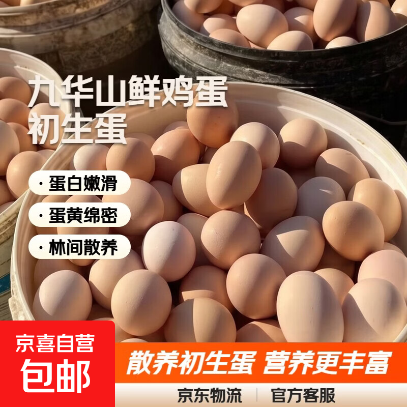 九华山鲜鸡蛋初生蛋月子鸡蛋鲜鸡蛋柴鸡蛋现捡现发40-50g±5g 8枚土鸡蛋