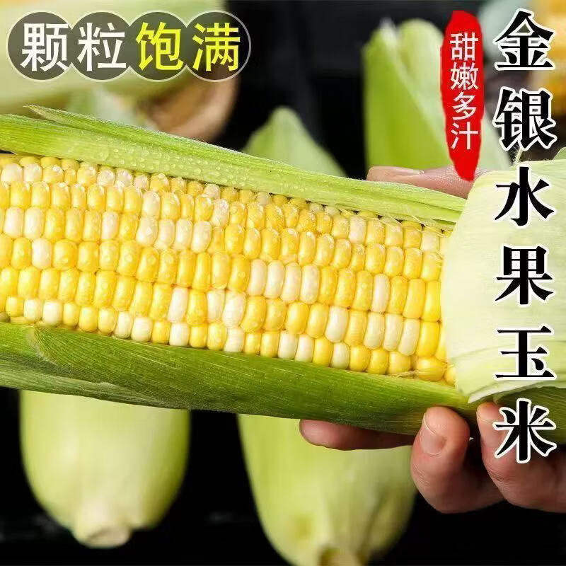 【京东物流送货到家】现摘生吃爆浆水果玉米孕妇苞谷棒即食嫩蔬菜 5斤