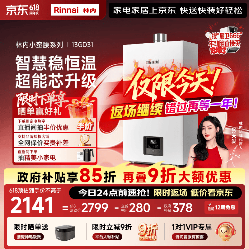 林内（Rinnai）【小蛮腰】13升燃气热水器 天然气热水器 智慧恒温升级CPU 低压启动上门安装13GD31（JSQ26-GD31）