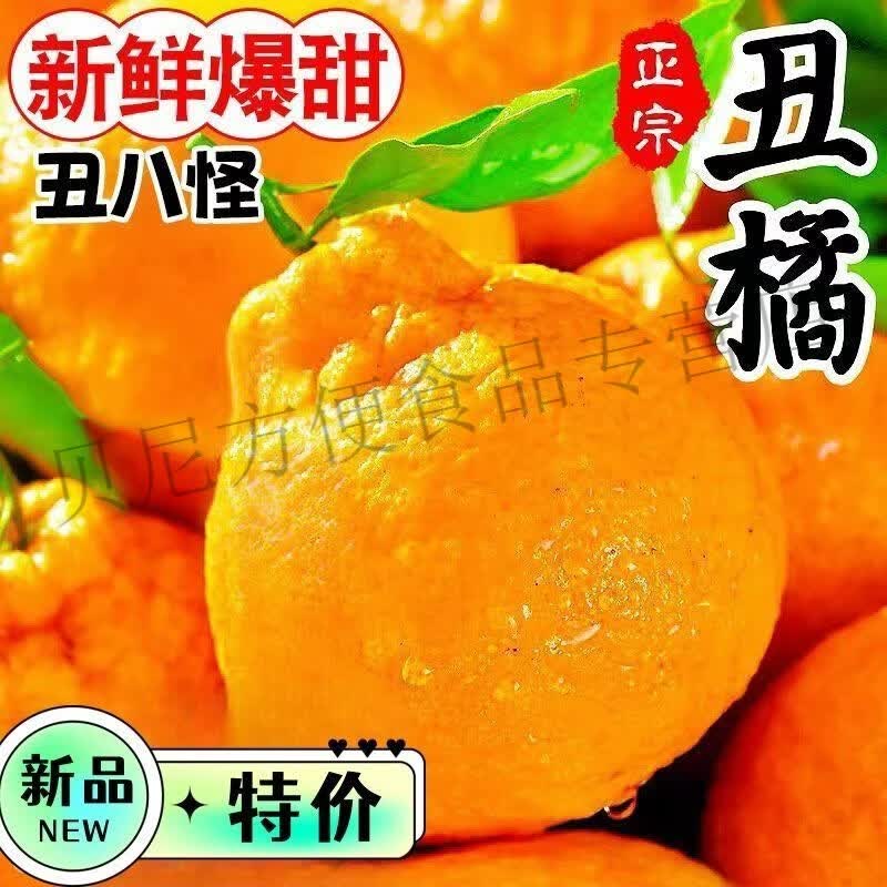 【现摘5斤大果】新鲜丑橘不知火橘子无籽无核薄皮桔子春见耙耙柑 彩箱精选【早熟丑橘不知火】个个 带箱9-10斤果王爆甜多汁