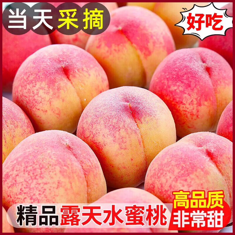 龙多鲜顺丰京东水蜜桃 现摘新鲜当季应季时令山西水果整箱脆甜软硬两吃 净重4.5斤精选好果单果100-180g