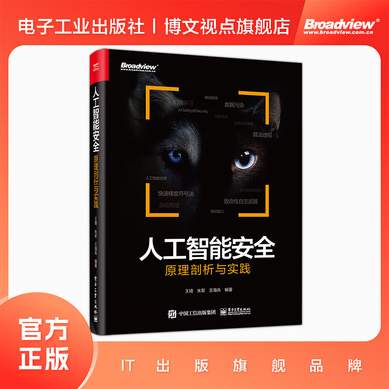 人工智能安全：原理剖析与实践