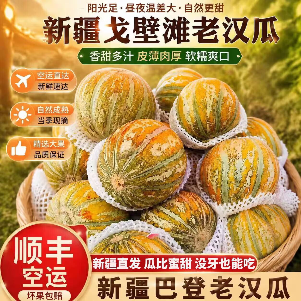 鲜雅堂 新疆老汉瓜【顺丰空运-送货上门】火焰蜜瓜吐鲁番金纹巴登老汉瓜 新疆巴登老汉瓜老品种8-9斤净重(1-2枚)
