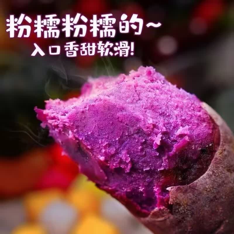 九曲食珍广西新鲜紫薯 当季精品紫薯地瓜 软糯香甜健康轻食生鲜蔬菜 中果净重4.5斤（单果150-400g）