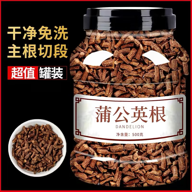 蒲公英特级无熏硫蒲公英根人工筛选去除细碎根段完整粗根干净无杂质 当日发货蒲公英根 500g*1袋