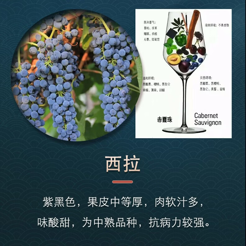 中菲酒庄礼物送礼 尊享干红葡萄酒橡木桶陈酿12个月红酒礼盒装750ml 尊享西拉干红