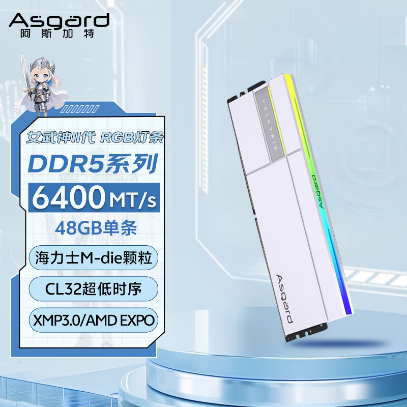 阿斯加特（Asgard）48GB DDR5 6400 台式机内存条 女武神·瓦尔基里II代 RGB灯条 海力士M-die CL32 极地白 AI电脑