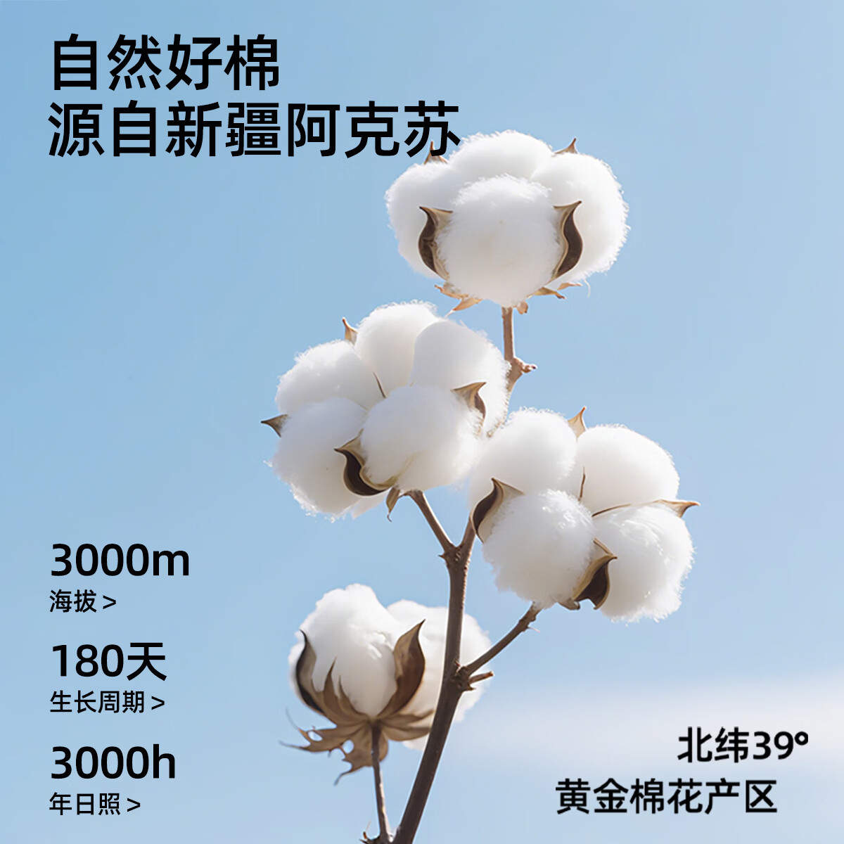 有棵树（YOUKESHU） 女士内裤女纯棉10A级抑菌夏季中腰无痕短裤女生三角新款清仓特惠 豆绿