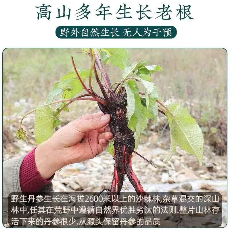 同仁堂（TRT）正宗精选紫丹参自然晾晒无硫熏营养耐泡参味浓郁日常泡水煲汤皆宜 正宗精选紫丹参 250g*4罐