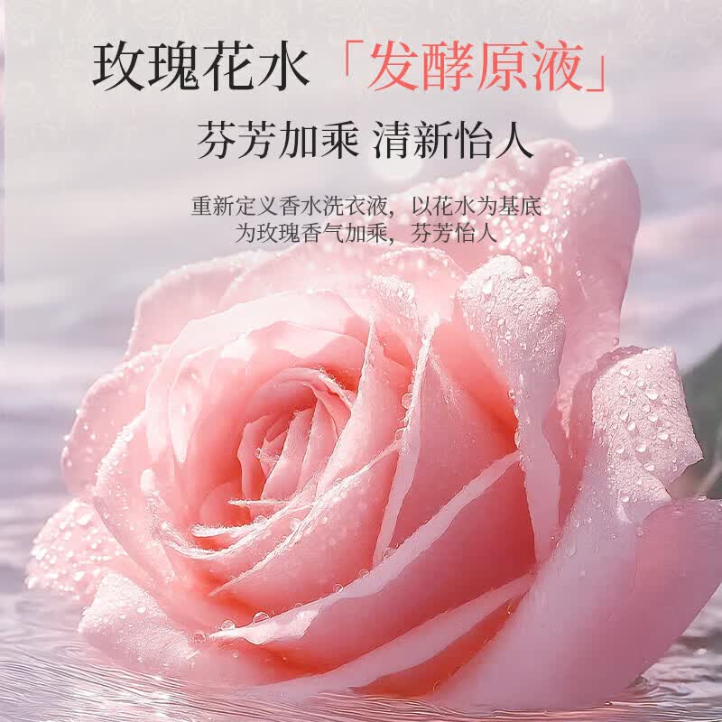 植护玫瑰香水纯露洗衣液5斤装持久留去渍洁净香家用整箱实惠装 【5斤】2.5kg*1瓶 超强去污持久留香
