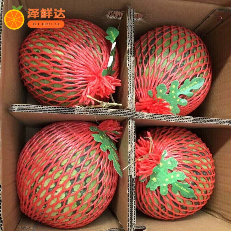 泽鲜达上海南汇8424头茬西瓜脆沙甜新鲜当季水果大个水分足 家庭精选