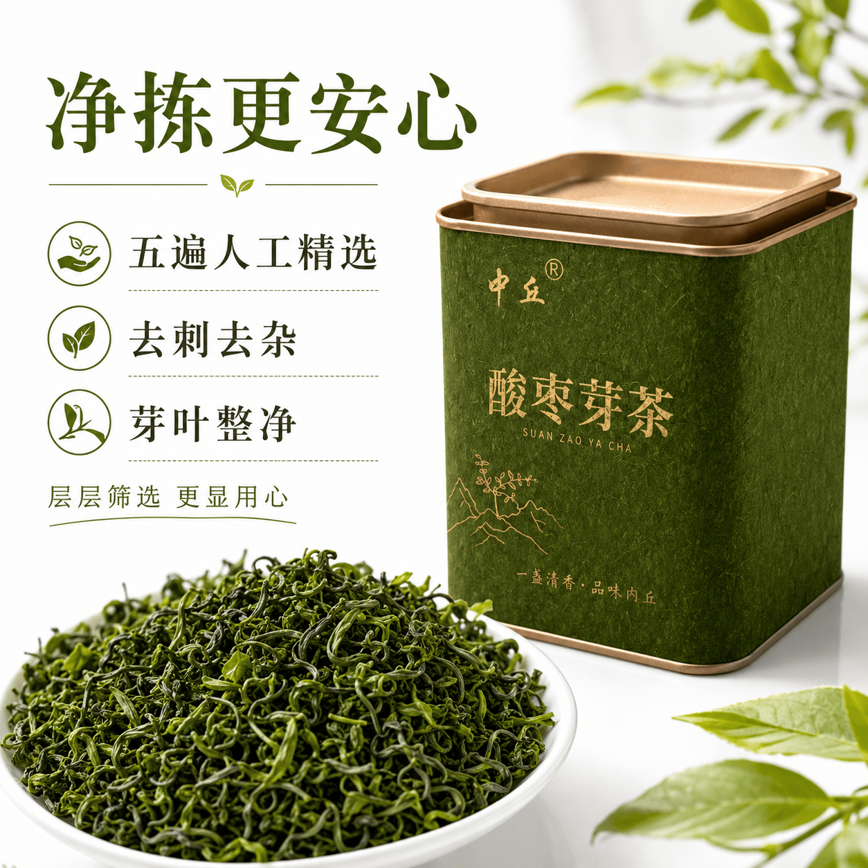 中丘正宗野生酸枣芽茶河北太行山酸枣嫩芽叶特产邢台内丘初春头采炒制 2026年春季新酸枣芽 50克*1罐 （单罐无袋）