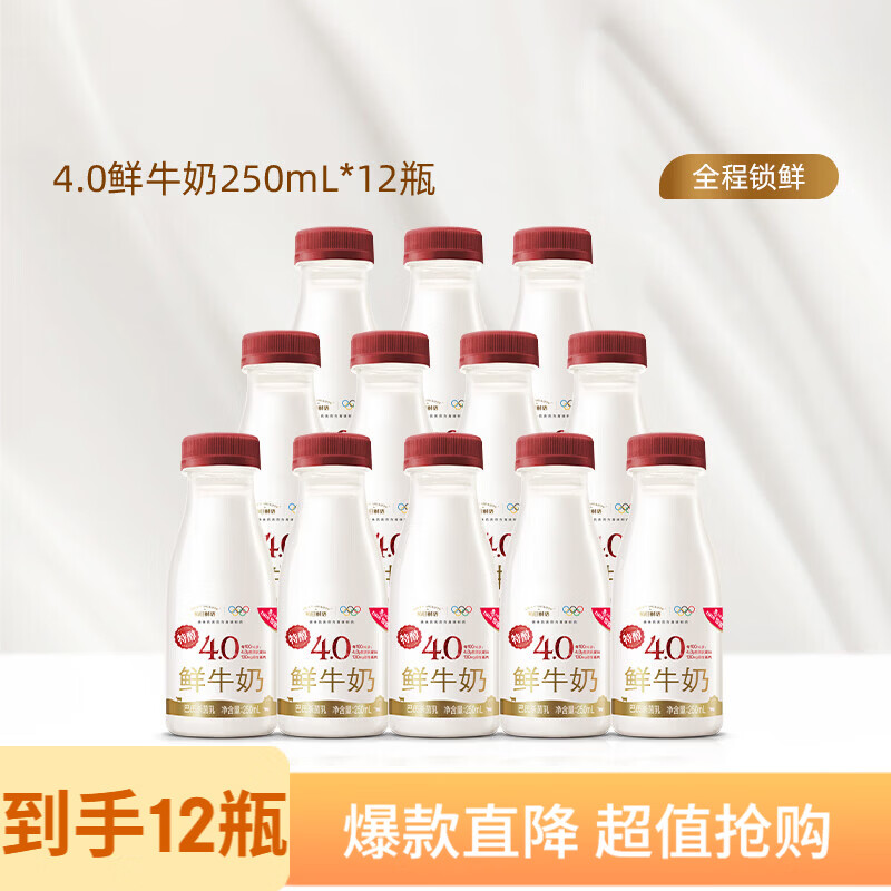 每日鲜语【肖战推荐】4.0g蛋白鲜牛奶巴氏杀菌250ml鲜活营养早餐搭档 4.0系列250ml*12瓶