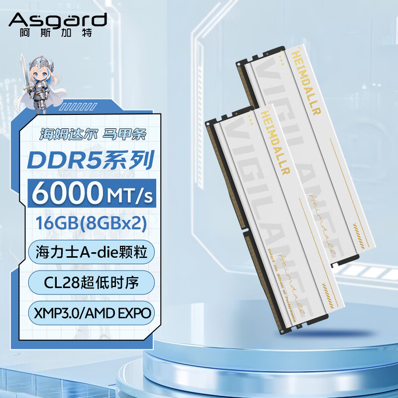 阿斯加特（Asgard）16GB(8GBx2) DDR5 6000 台式机内存条 海姆达尔 马甲条 海力士A-die CL28 极地白 AI电脑配件升级