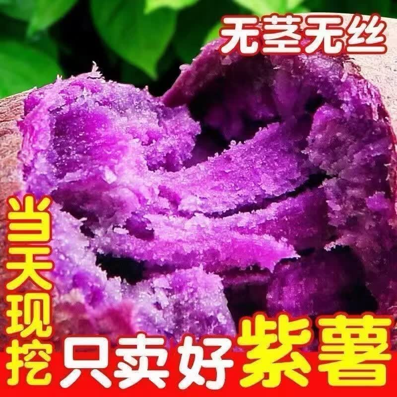 九曲食珍广西新鲜紫薯 当季精品紫薯地瓜 软糯香甜健康轻食生鲜蔬菜 中果净重4.5斤（单果150-400g）