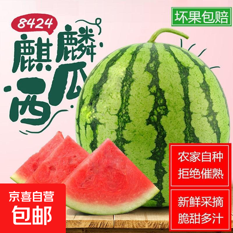 麒麟8424美都西瓜5-6斤 7.7元 - 86线报
