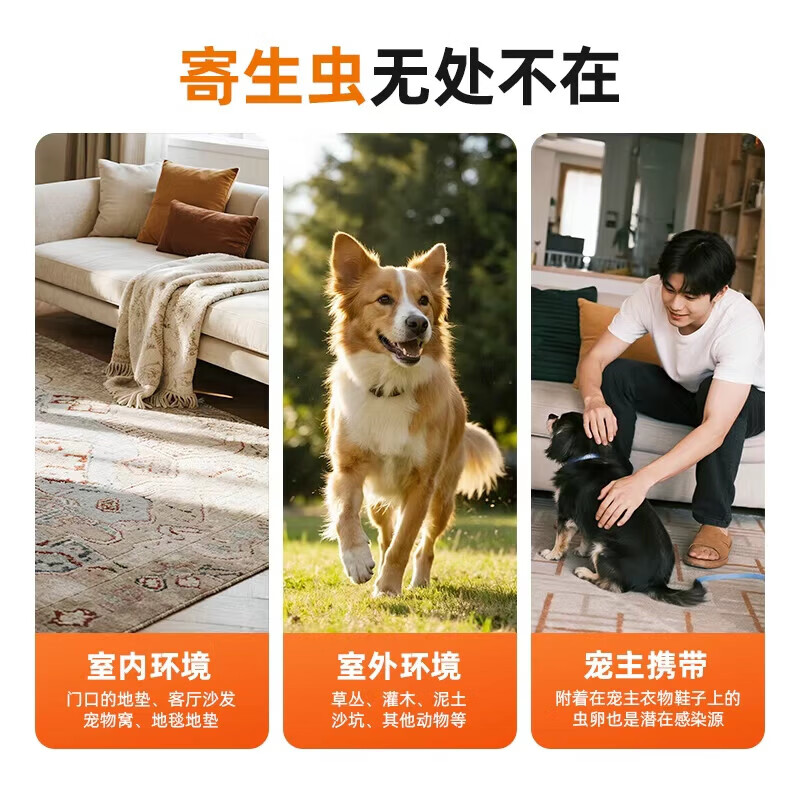 可立奥进口狗狗口服体外驱虫药乐替拉纳咀嚼片驱除跳蚤蜱虫宠物犬专用装 【2.5-5.5kg拆售+内驱】 1粒*1盒