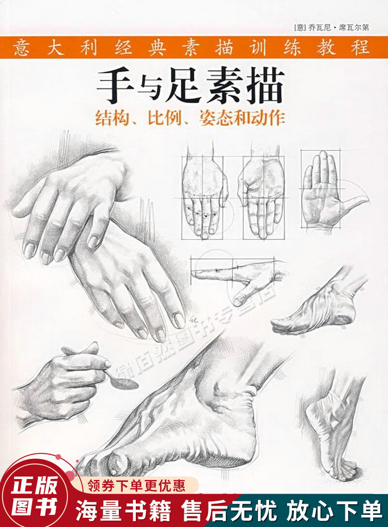 手与足素描-结构.比例.姿态和动作