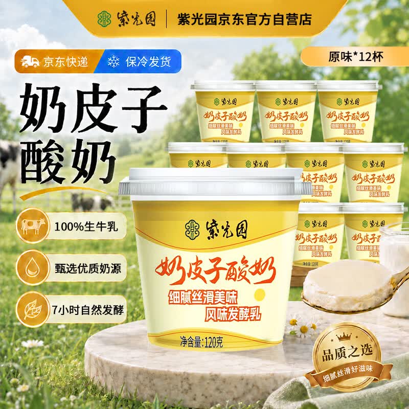 紫光园奶皮子酸奶酪老北京特产低温酸奶120g*12北京老字号源头直发 包邮