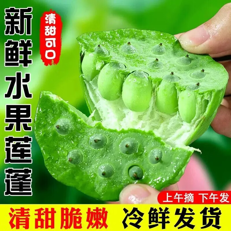 京东冷链生鲜新鲜莲蓬头食用现摘现剥鲜莲子生吃鲜嫩清甜时令蔬菜 4斤当天现摘莲蓬