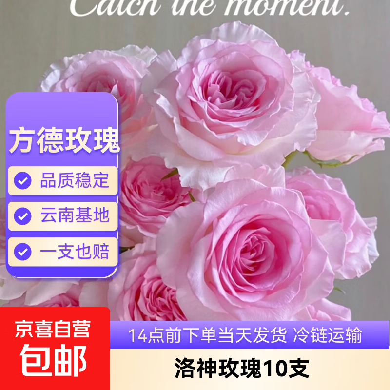 云南鲜花基地直发玫瑰花母亲节520送妈妈暖心礼物 【爆款推荐】方德40-50cm洛神10支