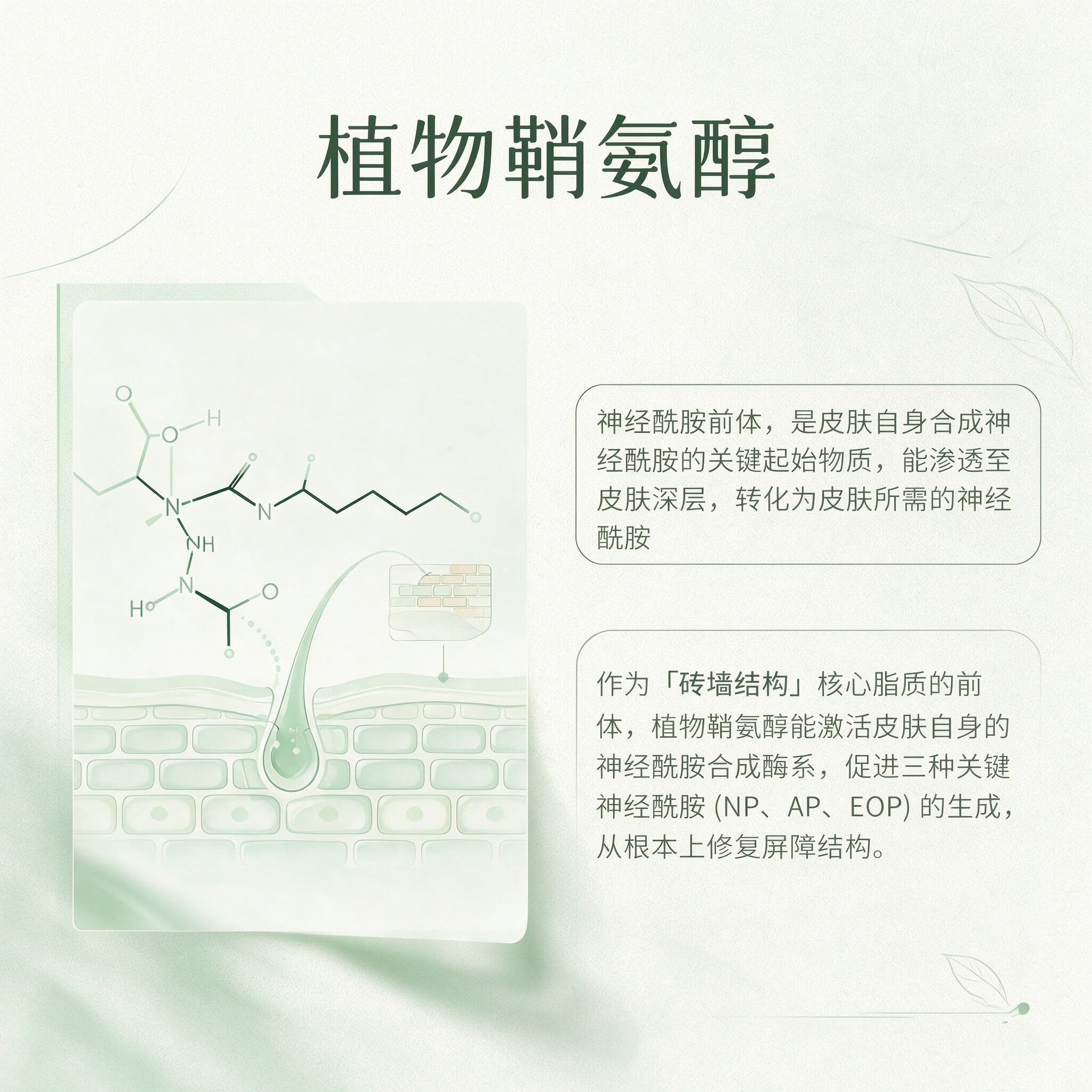 济正林舒缓特护霜150g 面霜4-叔丁基环己醇,后生元 济正林舒缓特护霜150g