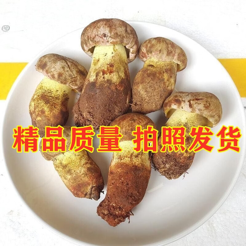 野生菌见手青牛肝菌新鲜现采顺丰空运粉菌白葱云南野生菌蘑菇2026 510g一斤精品质量装