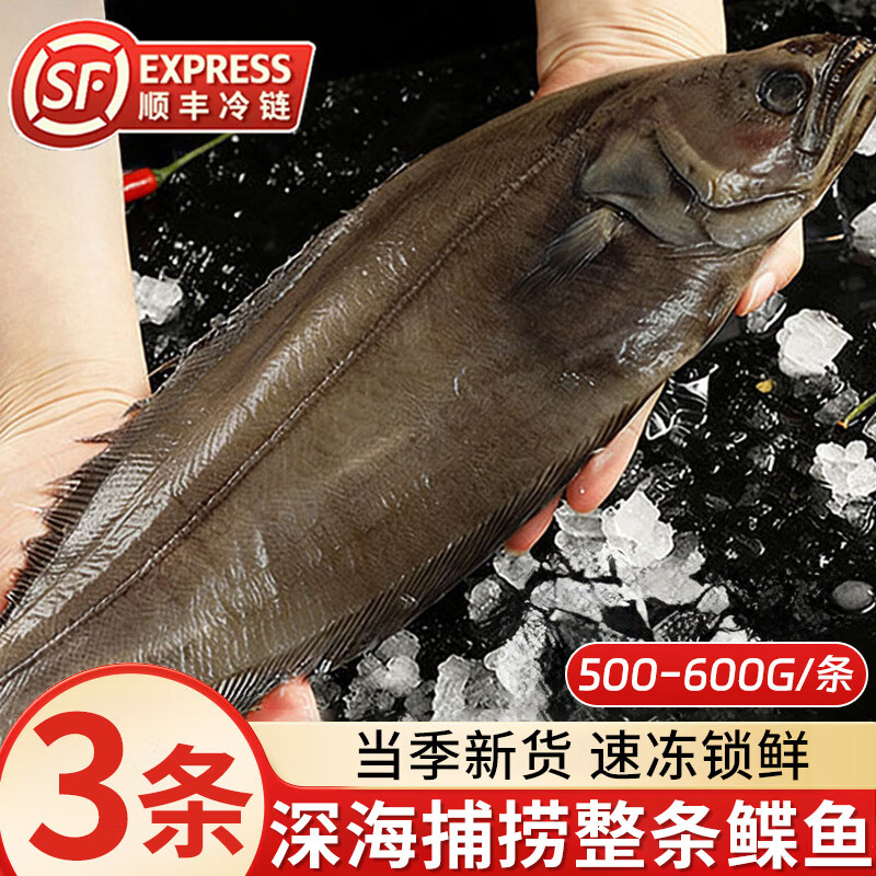 深海鲽鱼整条比目鱼冷冻碟鱼大鸦片鱼500-600g/条 偏口鱼海鲜水产 【深海捕捞】鲽鱼500-600g*3条