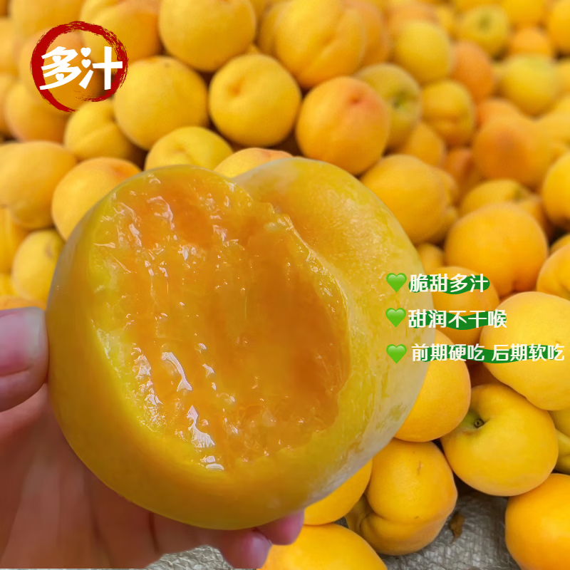 顺丰包邮襄阳现摘黄桃应季鲜果脆甜多汁产地直发整箱装专属 4.5斤大果(单果约180g左右,约12个及以内)