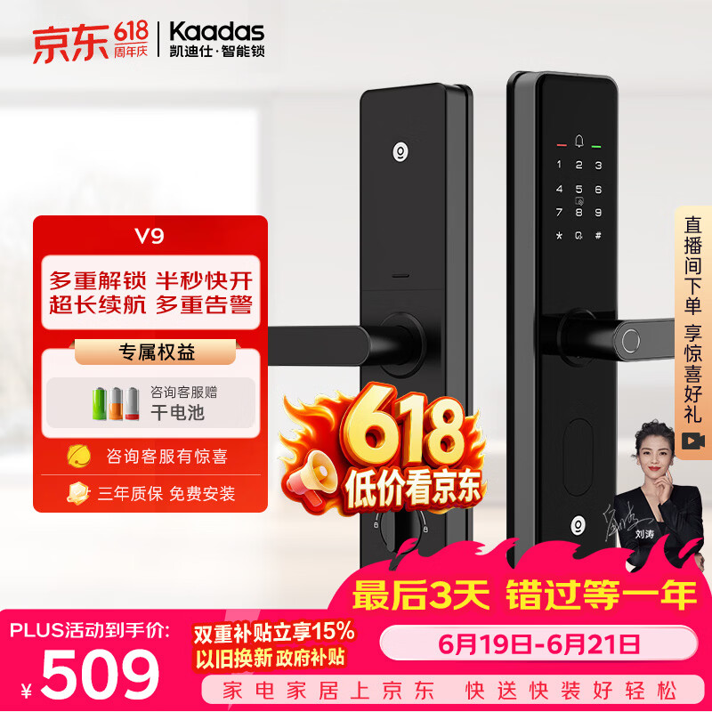 凯迪仕（KAADAS）智能门锁 指纹锁 防盗门锁密码锁 入户门电子智能锁 V9
