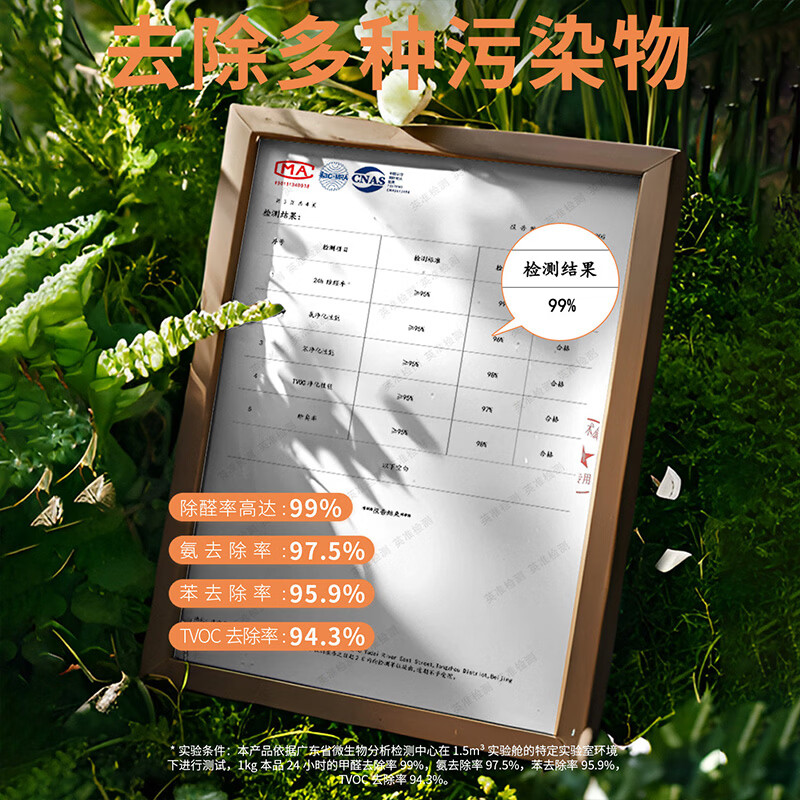 绿之源Mn25高碘值强效活性炭除甲醛车内异味净化去味剂神器空气治理专享 蓝金款金碳号丨1箱21包 100g 21袋