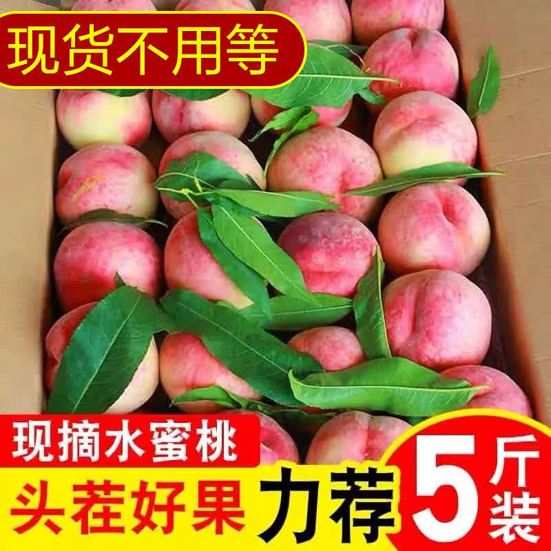 龙多鲜顺丰京东水蜜桃 现摘新鲜当季应季时令山西水果整箱脆甜软硬两吃 净重4.5斤精选好果单果100-180g
