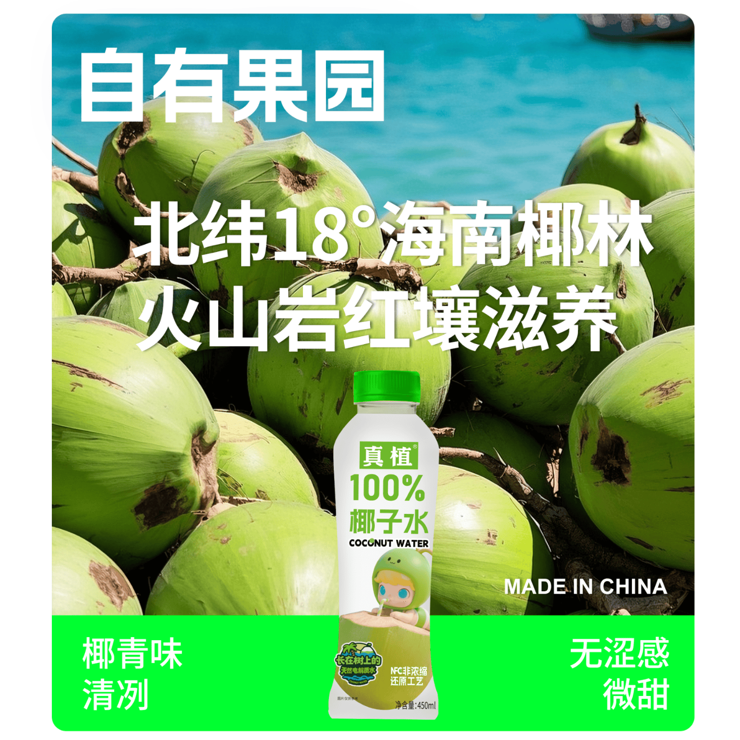 真植100%椰子水天然电解质水450ml一整箱无菌冷灌0添加椰青水 【真植100%椰汁水】450ml*15瓶整箱