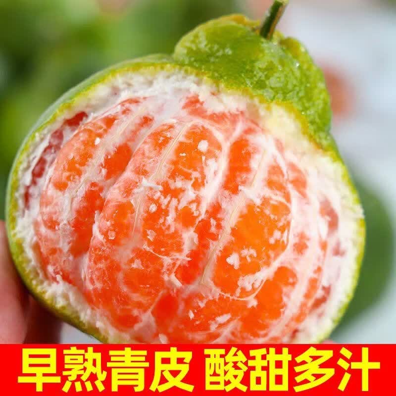 不知火丑橘10斤新鲜丑八怪橘子桔子耙耙柑橘当季水果蜜橘1斤现摘 带箱1点0-1点1斤随机促销