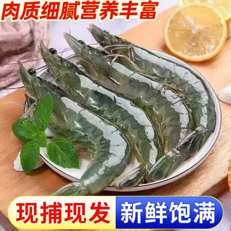 九英里厄瓜多尔白虾20/30特大号鲜活冷冻大虾净重4斤原装进口源头直发 盐冻大虾 16-20cm 3斤(净重)无冰款 1500g(净重)