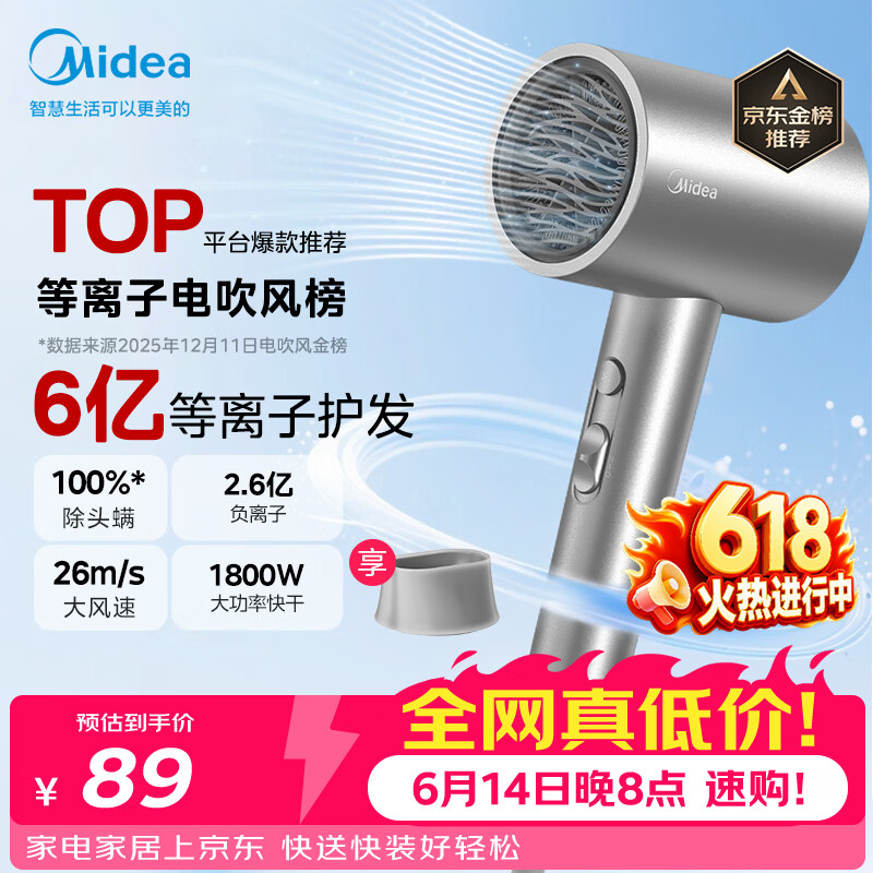 美的（Midea）6亿等离子护发电吹风 家用负离子护发吹风筒 1800W大功率快干吹风机FJ308银 节日礼物 价保618