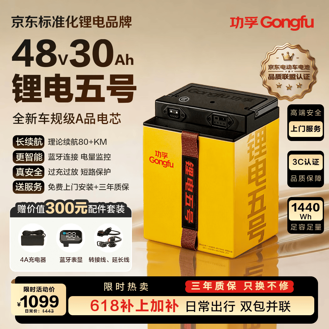 功孚锂电五号电动车锂电池48V30Ah大容量电瓶车电摩电池雅迪爱玛台铃