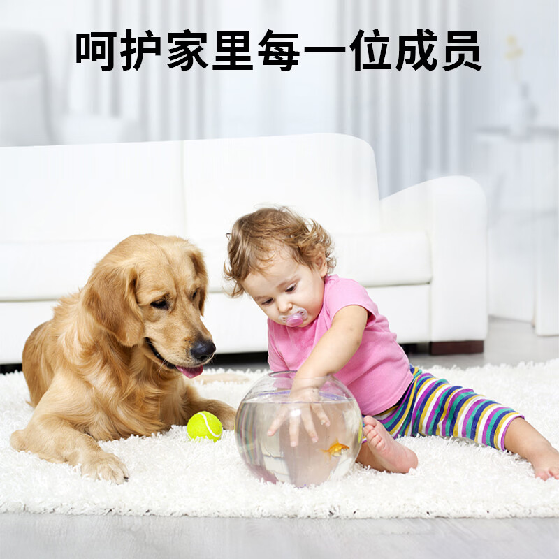 世昌卫生间消毒片马桶复合氯消毒泡腾片泳池水池鱼塘公共卫生间消毒片 一瓶100g【体验装】