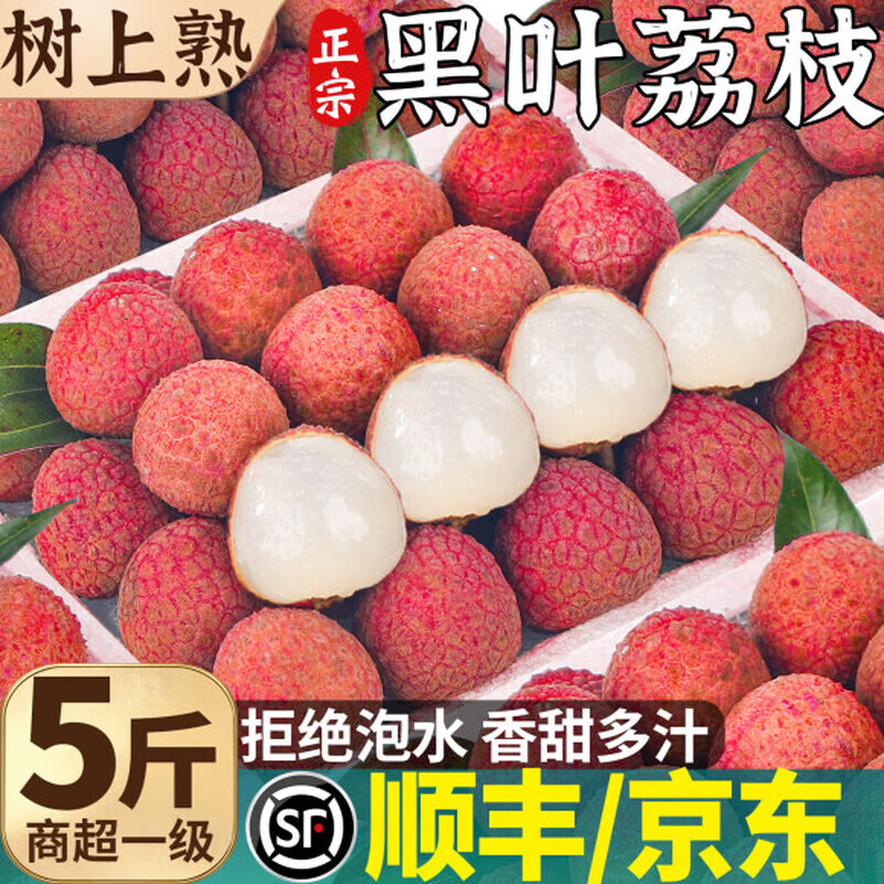 壹萌果蔬广东黑叶荔枝【JD顺丰多地次日达】荔枝新鲜水果现摘端午送礼盒 净重4.5斤精选精品果【单果16g+】