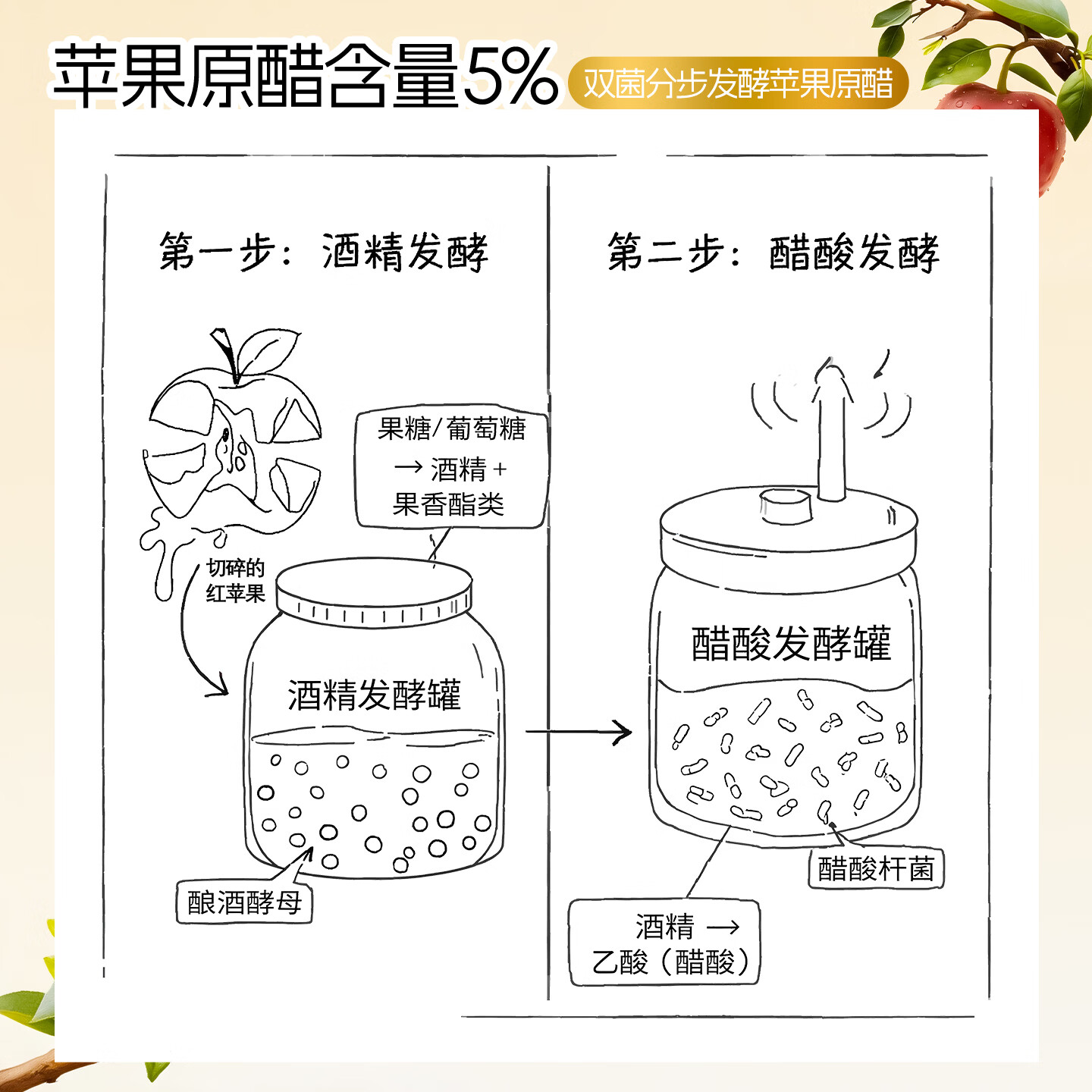 冠牧优醇苹果醋饮料佐餐饮品酸甜清爽 果汁醋饮0脂肪餐后解腻果醋配料简单 苹果醋200ml*12盒【1箱】