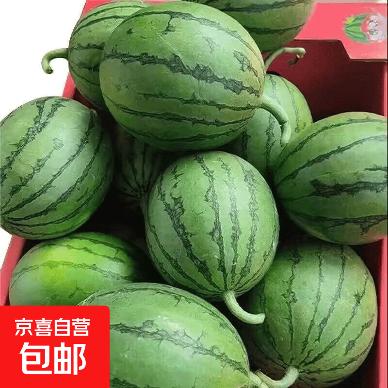 夏邑美都西瓜净重5-6斤 9.92元，石林人参果带箱5斤 12.01元 - 86线报
