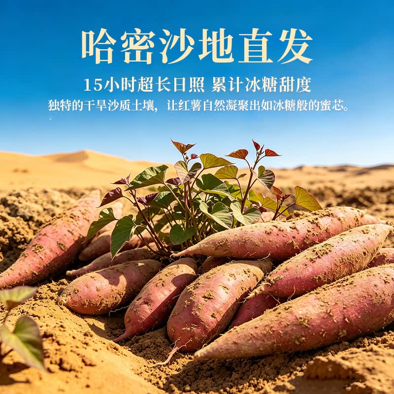 莎凰正宗哈密白薯 冰糖心白薯农家自种软糯无丝新鲜现挖 5斤单果3两以上 哈密白薯