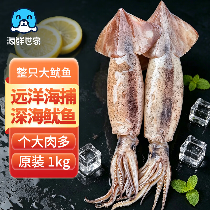 海鲜世家鲜冻整条大鱿鱼2-4条净重2斤 火锅烧烤食材铁板阿根廷软足