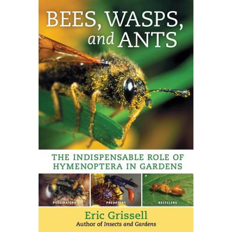 预订 Bees, Wasps, and Ants: The Indispensable Rol...