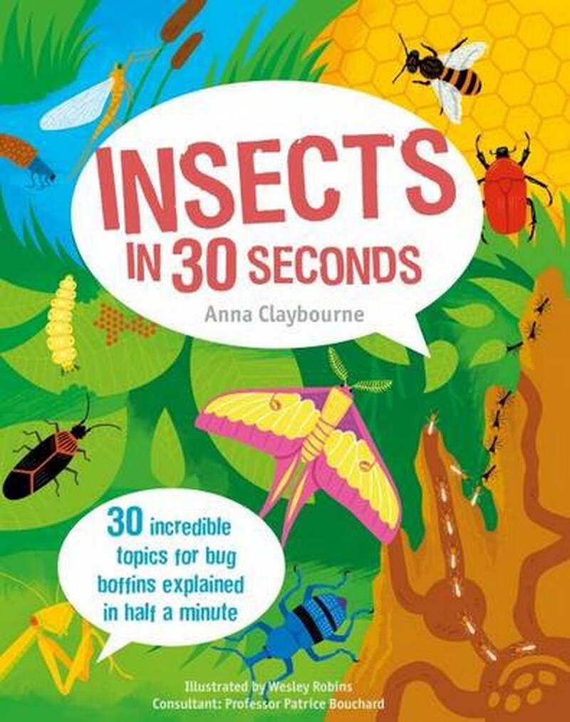 Insects in 30 Seconds 30秒昆蟲