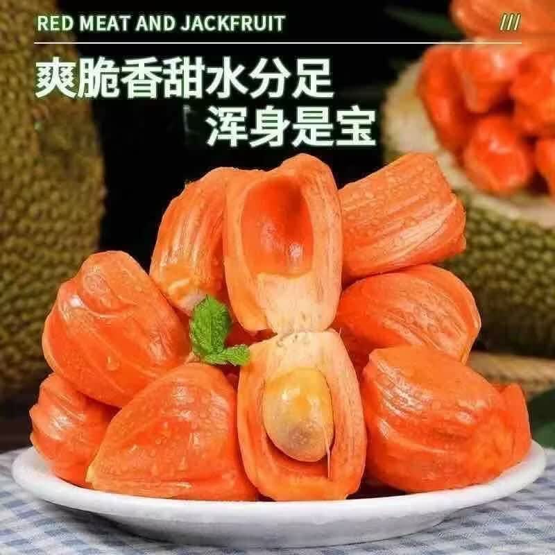正宗红肉菠萝蜜当季新鲜水果一整个树上熟波罗蜜脆甜干包顺丰包邮 印尼红菠萝蜜 13-14斤整个果发货