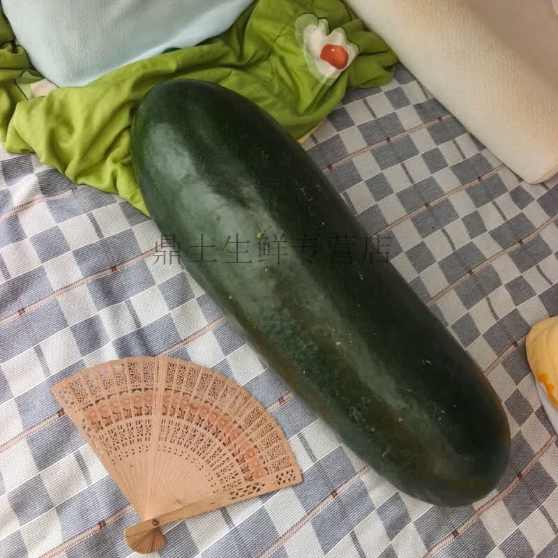 黑皮大冬瓜现摘新鲜大个纳凉解暑适合全家健康食用 青皮现摘大冬瓜18斤 18斤