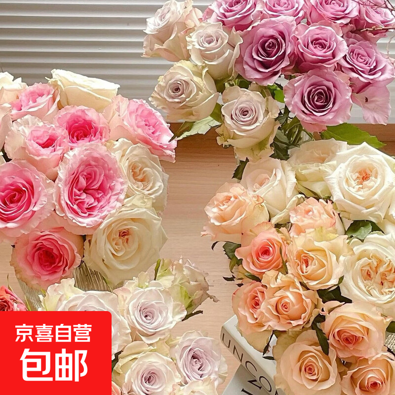【渠道专享1】云南鲜花基地直发玫瑰花鲜切水养客厅插花真花 35-40cm随机玫瑰10支