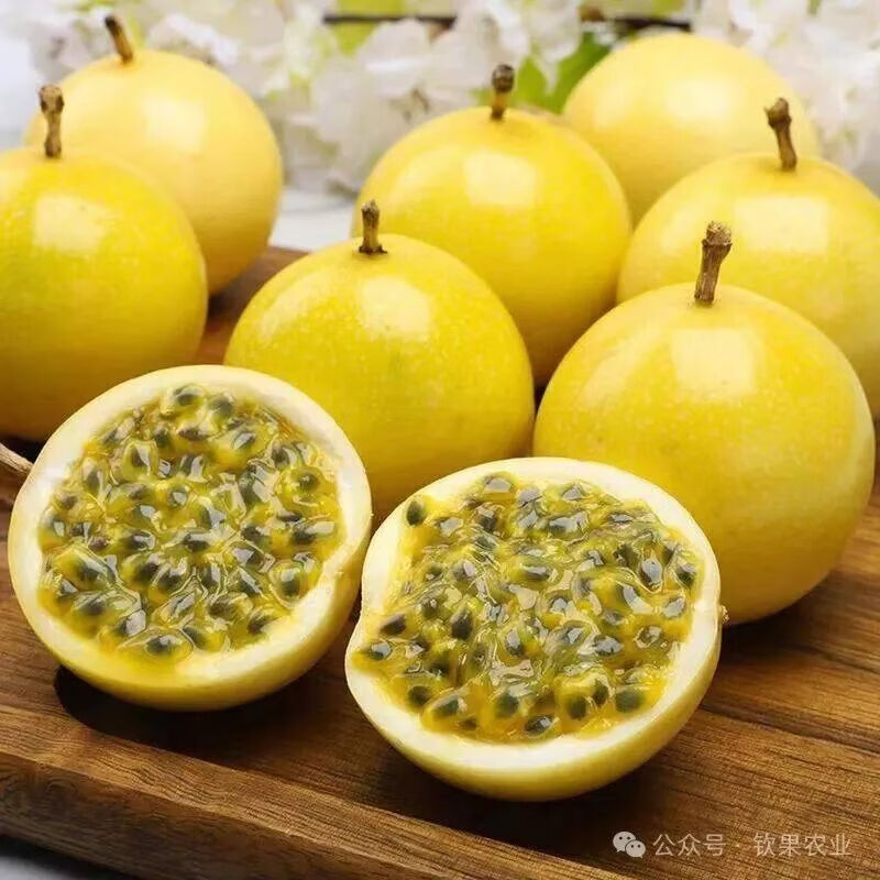 钦乡果钦蜜9号黄金百香果 礼盒特大果广西现摘现发新鲜黄金果生鲜水果 礼盒18颗装  果王  单果90+