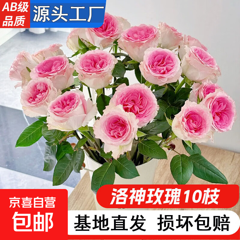 黑心向日葵鲜花云南基地直发水养鲜切花中考高考升职花束一举夺魁 高品质-【洛神玫瑰10枝】50-60cm